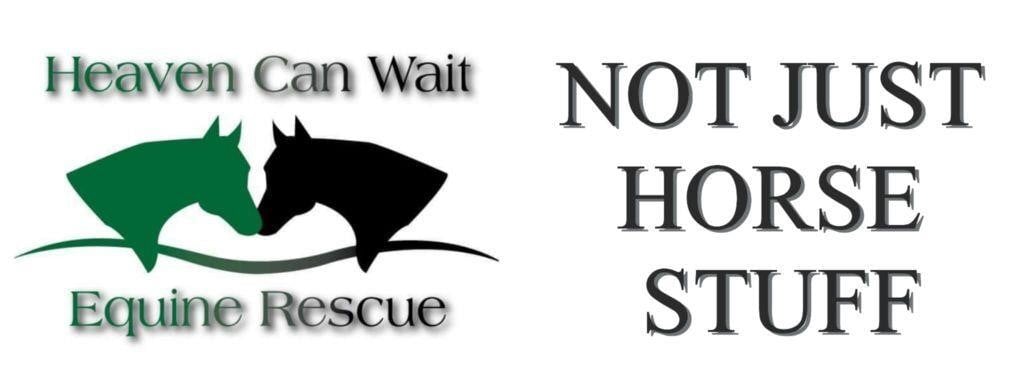 Heaven Can Wait Equine Rescue Auction October 2026 – Cameron