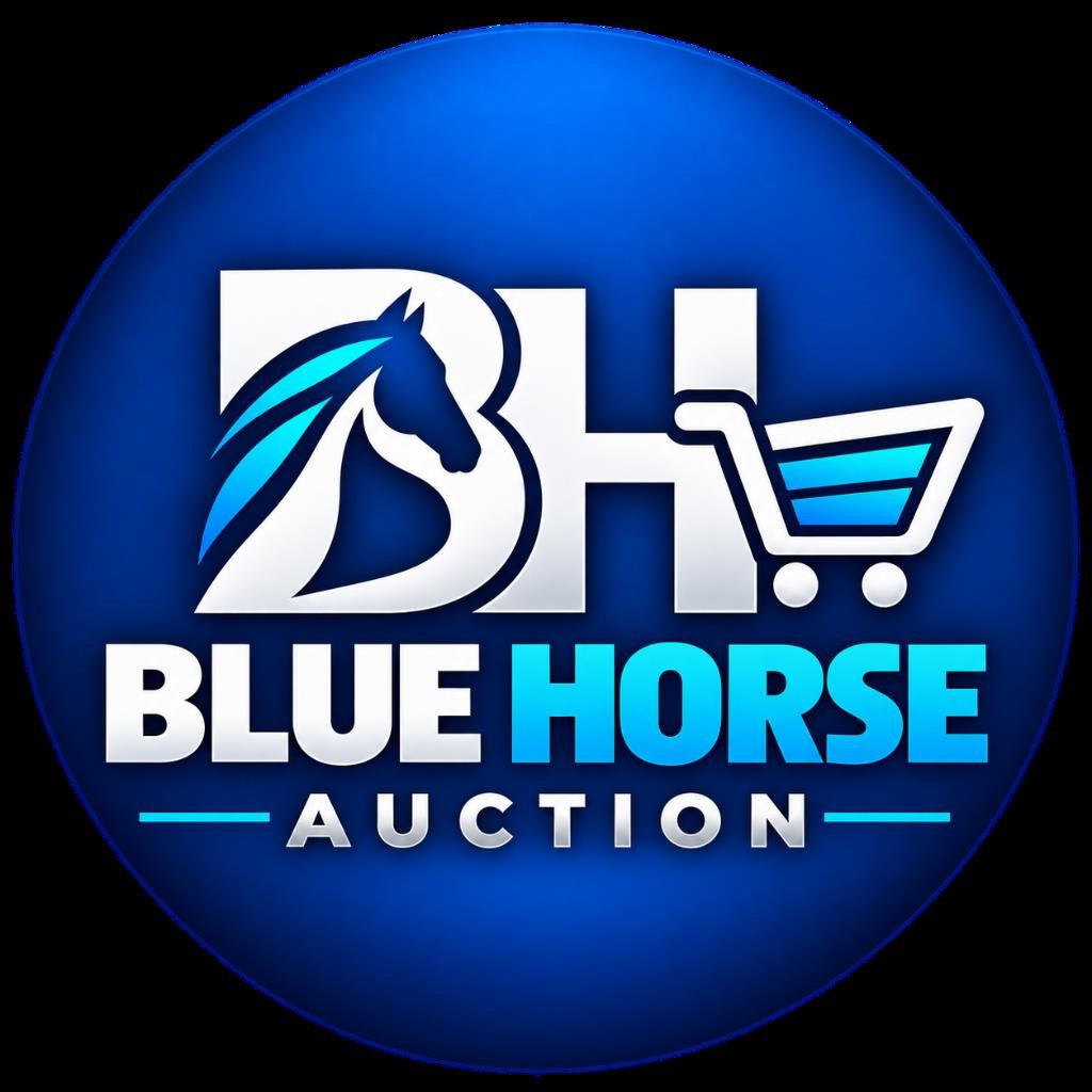 Grand Opening | Electronics, Tools & Home Goods Auction – North York