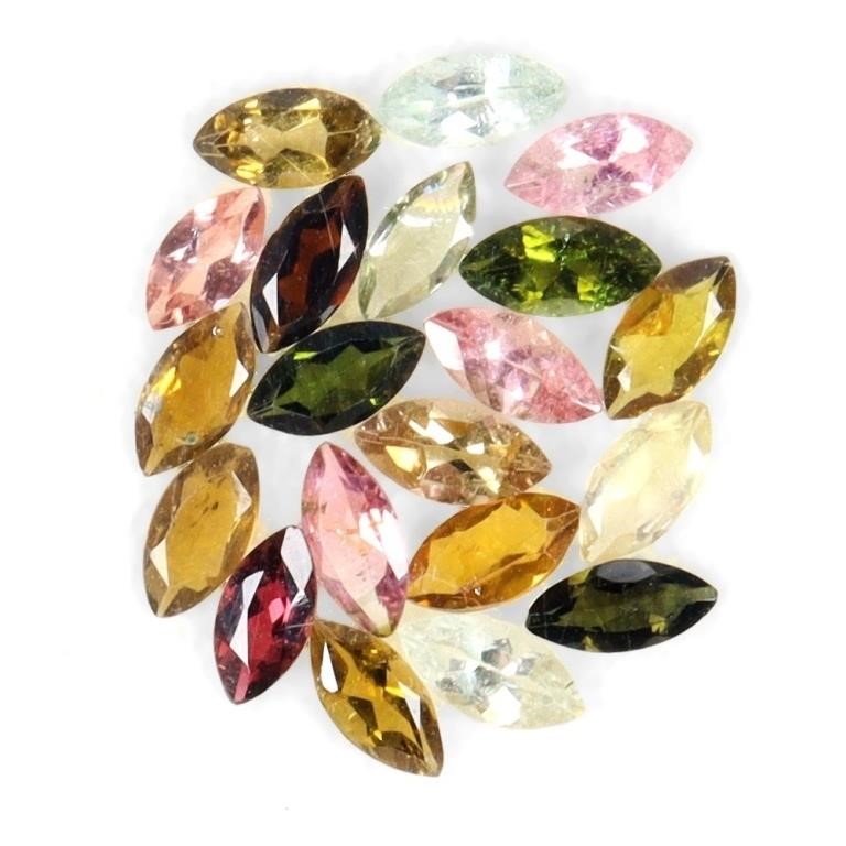 Collector Sale | Coins Jewelry Ancients Gemstones Fossils + – North York